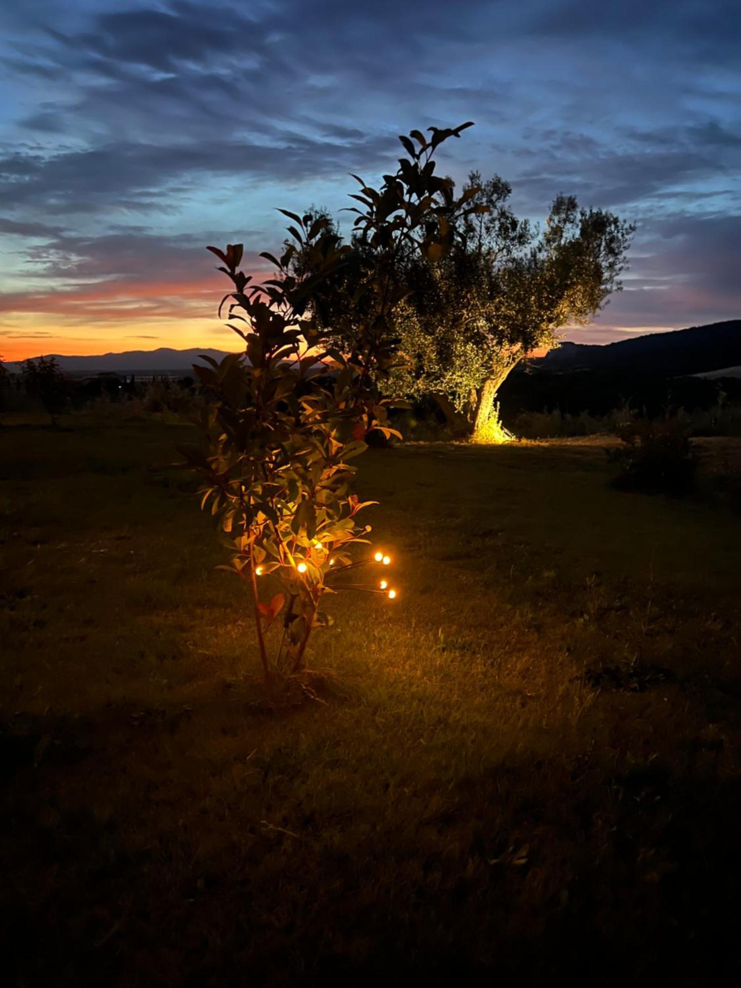 Il Poggio di Musignano Villa Musignano  Esterno foto